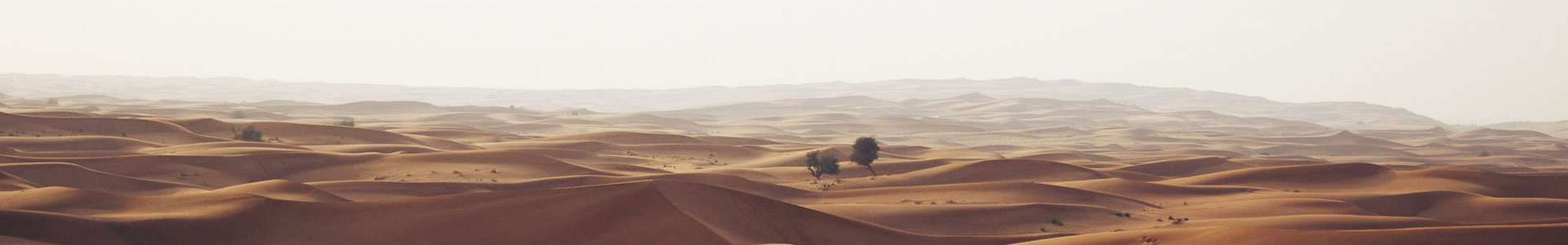 ӢũҵƼ޹˾